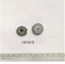 Click for 1 image(s) for this accession. FRUIT